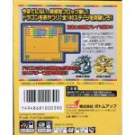 Pocket Color Block (New)