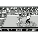 New Japan Pro Wrestling Toukon Retsuden (New)