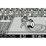 New Japan Pro Wrestling Toukon Retsuden (New)