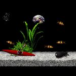 Aquazone Desktop Life Option Disc Series 4 Clown Loach (New)